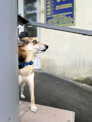 Similar image 21557653