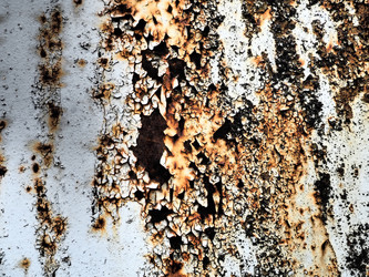 Similar image 21627493