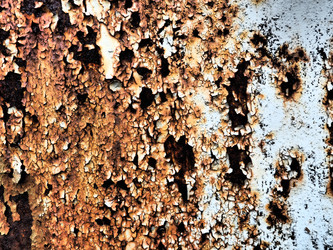 Similar image 21627499