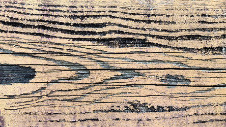 Similar image 21627503