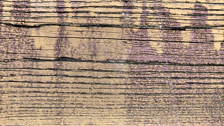 Similar image 21627504