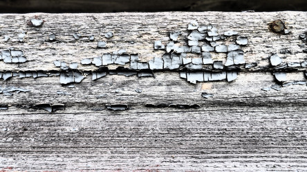 Similar image 21627506