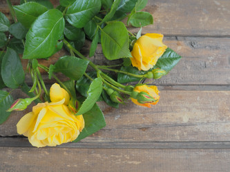 Similar image 21627510