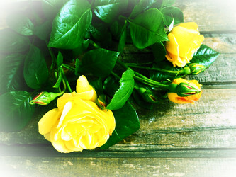 Similar image 21627512