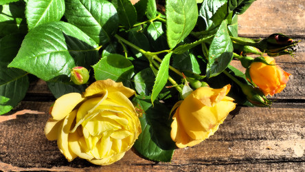 Similar image 21627514