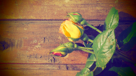 Similar image 21627517