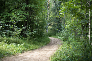 Similar image 21557274