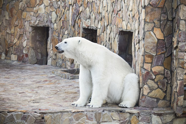 Similar image 21557275