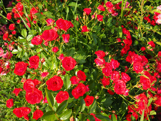 Similar image 21629194