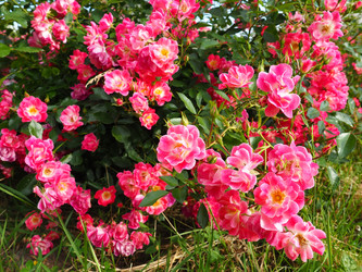 Similar image 21629196