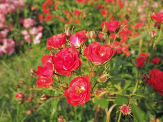 Similar image 21629197