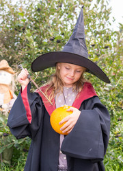 Similar image 21556504