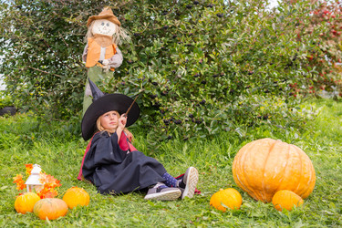 Similar image 21556506