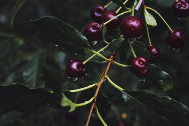 Similar image 21558911