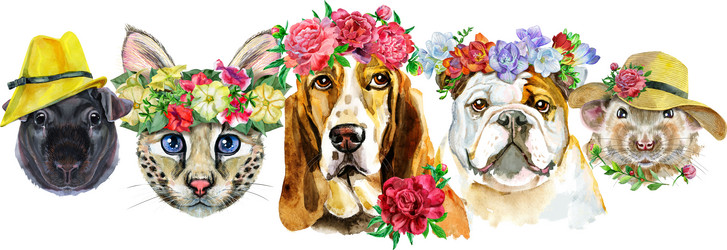 Similar image 21559029