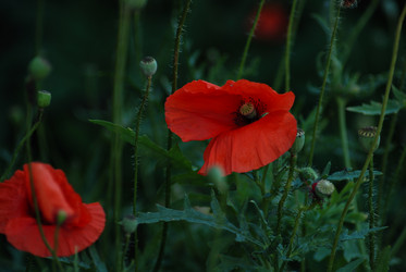 Similar image 21556534