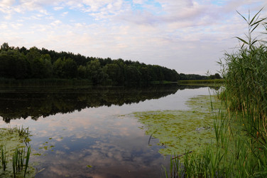 Similar image 21556536