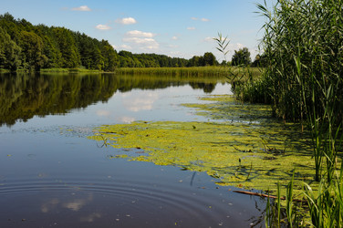 Similar image 21556537