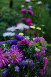 Similar image 21556539