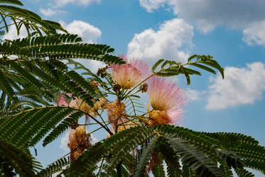 Similar image 21556542