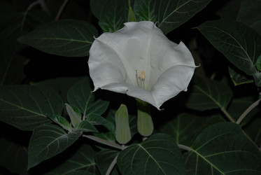 Similar image 21556543