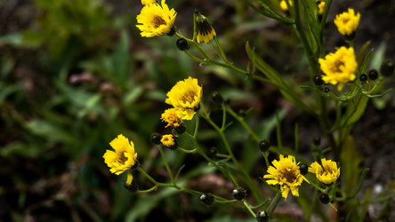 Similar image 21560050