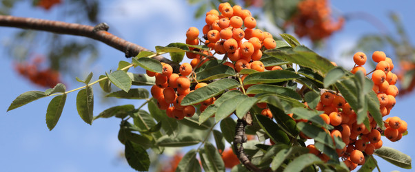 Similar image 21556927