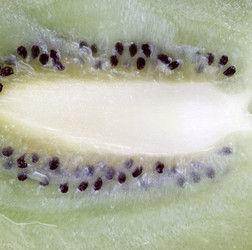 Similar image 21556934