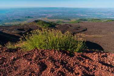 Similar image 21556552