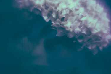 Similar image 21556554