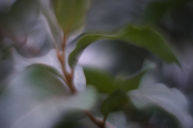 Similar image 21556558