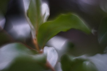 Similar image 21556559