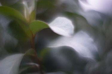 Similar image 21556560