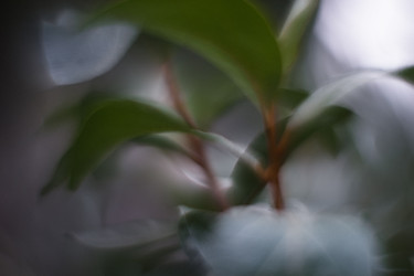 Similar image 21556561