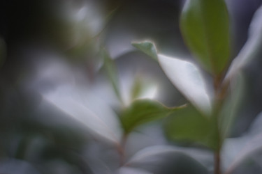 Similar image 21556562