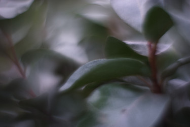 Similar image 21556563