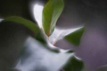 Similar image 21556564