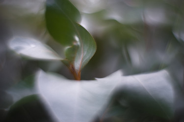 Similar image 21556565