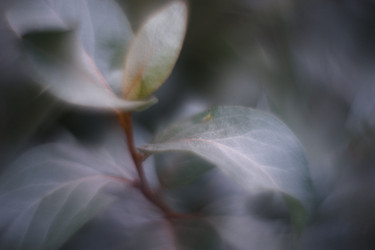 Similar image 21560053