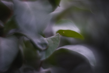 Similar image 21560054