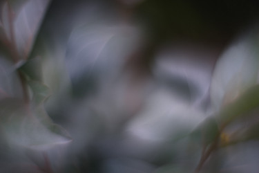 Similar image 21560055