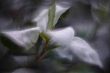 Similar image 21560056