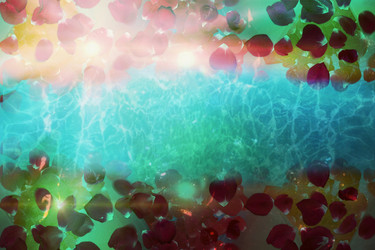 Similar image 21556575