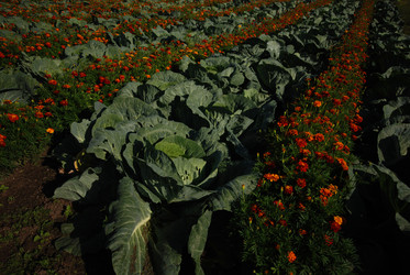 Similar image 21557301