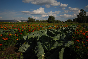 Similar image 21557302