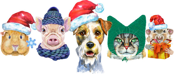 Similar image 21559032