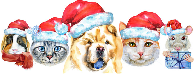 Similar image 21559033