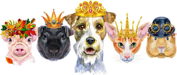 Similar image 21559035