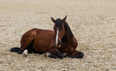 Similar image 21556592