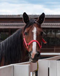 Similar image 21556593